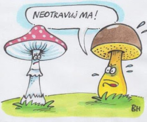 Nad čím sa okrem satiry a humoru zamýšľajú slovenskí humoristi